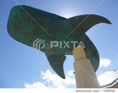 whale shark, churaumi aquarium, day 549450