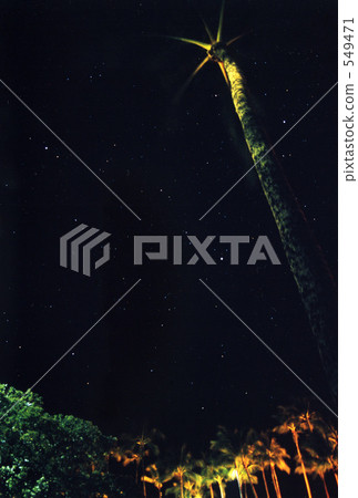 night-sky, late at night, coconut palm 549471