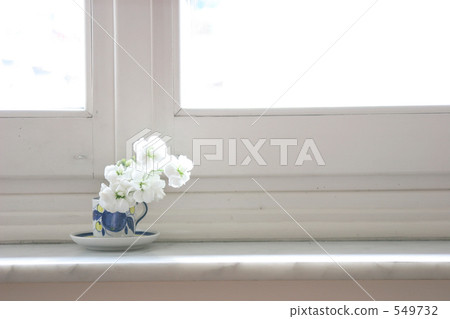 White flowers on the window side White flowers on the window side 549732
