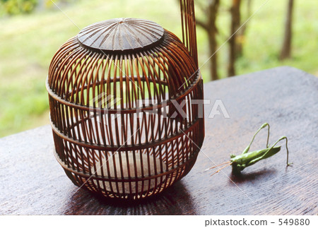 insect cage, art work, handicraft 549880