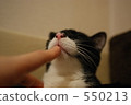 digit, finger, a cat 550213