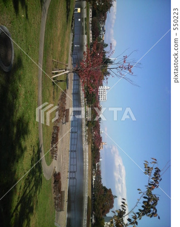 公園 草地 草坪 550223