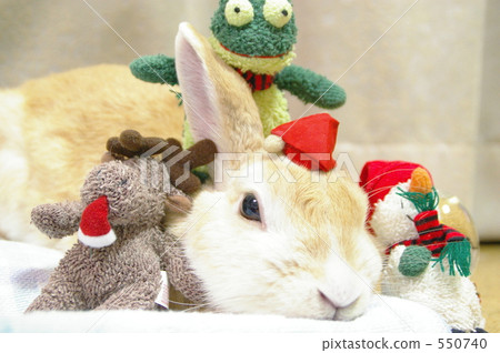 Merry Christmas rabbit 550740