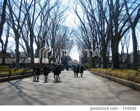 畢業 畢業 550898