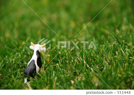 Strayed cattle 551448
