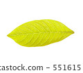 leaf, foliage, leaves 551615