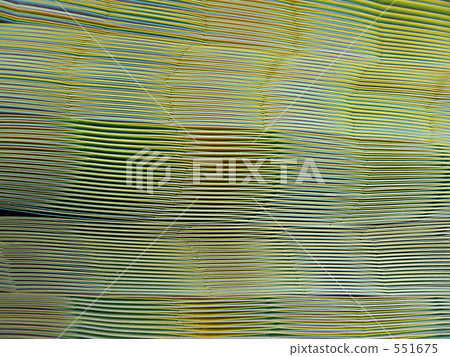 幾何圖案 幾何圖案 551675