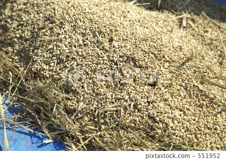 Rice flour Rice flour 551952