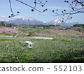 桃園 桃林 妙高山 552103