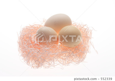 Egg 552339