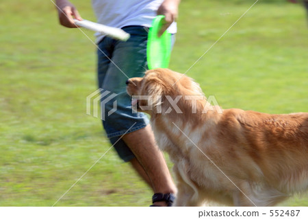 Toss a frisbee Toss a frisbee 552487