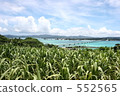 Koryu Island 1 552565