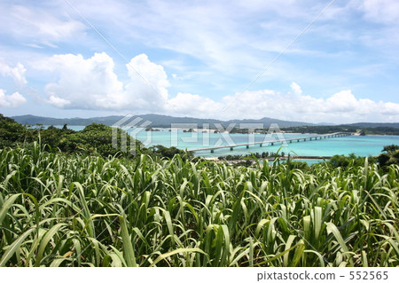 Koryu Island 1 552565