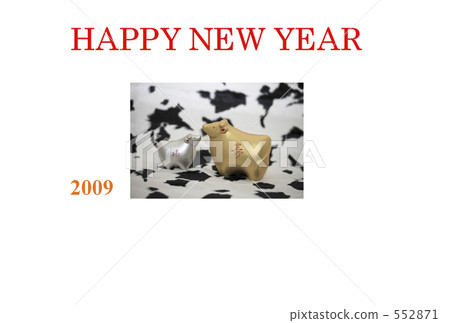 2009 New Year's Day 552871