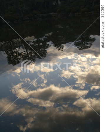 池塘 鹹水湖 狡猾的鯖魚 553594