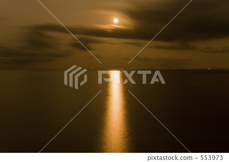 西表島月光 553973