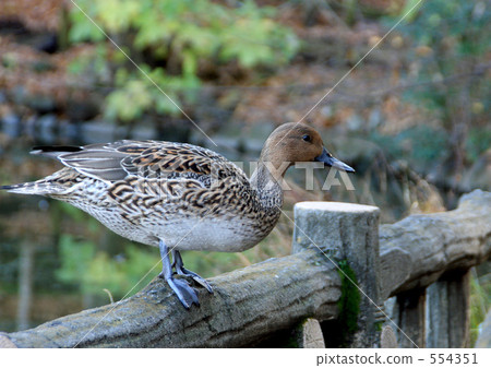 我試著爬上高處^ ^ 554351