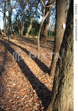 A long shadow A long shadow 554485
