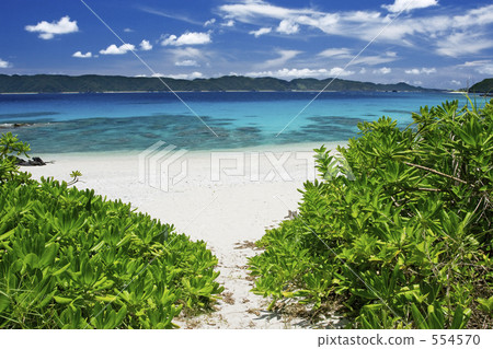 通往大海的路 554570