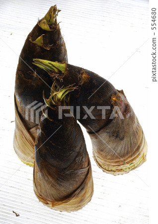 bamboo shoot, bamboo shoots, japanese food 554680