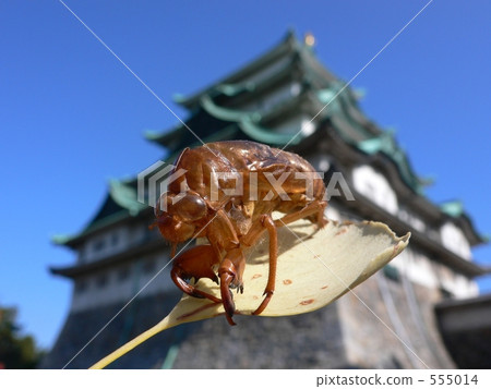 經過一番夢 經過一番夢 555014