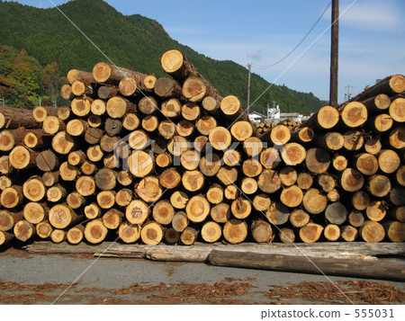 Wood waiting for shipment 555031