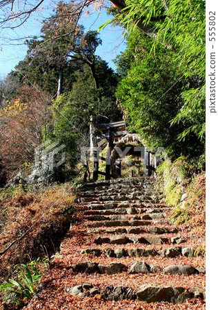 Approach Approach 555802