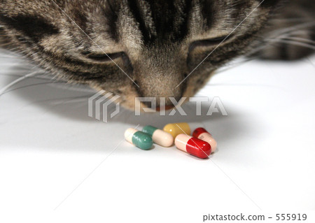 檢查中毒 檢查中毒 555919