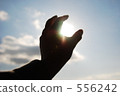 Grab light 556242