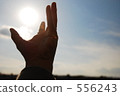 Grab light 556243