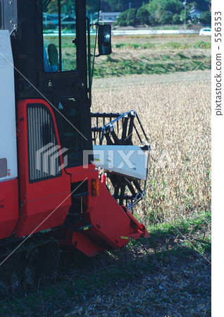 Harvest at once Harvest at once 556353