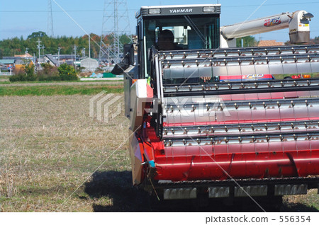 Soybean harvest Soybean harvest 556354