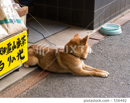 “請再回來！” 556492
