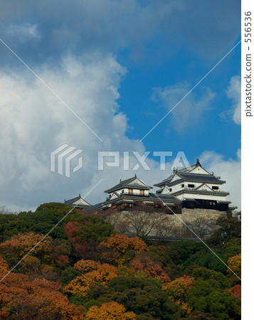 松山城 松山城 556536