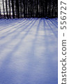 bieicho, snow scene, morning sun 556727