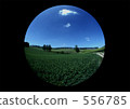 hill, cloudy sky, altocumulus cloud 556785