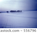 snow scene, winter scenery, winterscene 556796