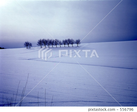 白雪皚皚 雪景 寒冬 556796