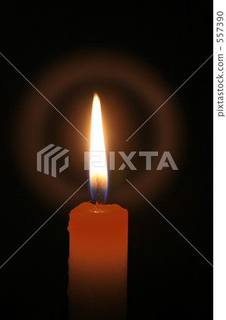 蠟燭 557390