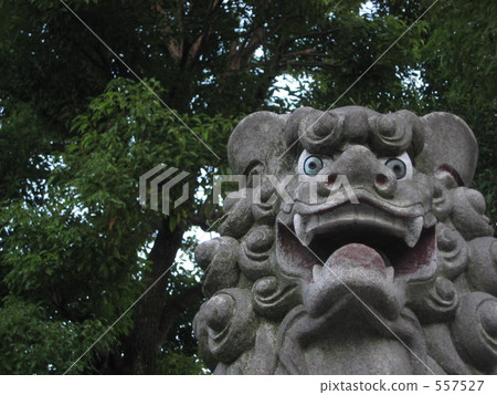 我被邀請了！ 557527