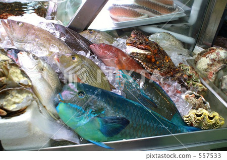 Market landscape of Naha Market landscape of Naha 557533