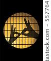 Shadow painted fox Shadow painted fox 557764