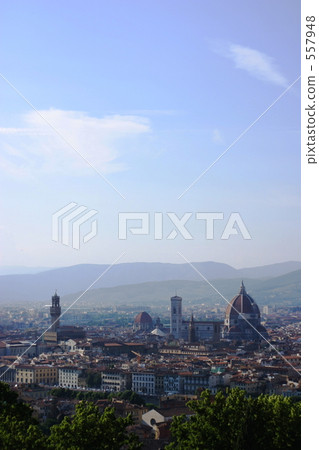 View of Florence 557948