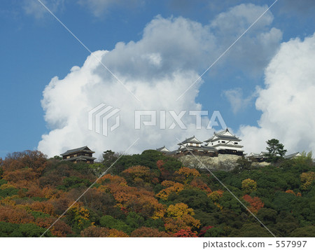 Matsuyama Castle Matsuyama Castle 557997