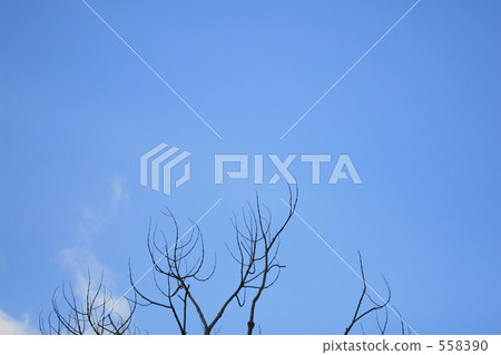 material, materials, deadwood 558390