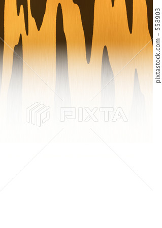 2010年老虎卡圖材料圖像毛皮毛皮 558903