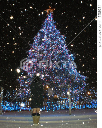 White Christmas 558984