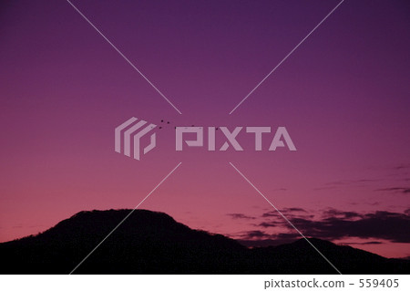 mt. kakudasan, niigata, swan 559405