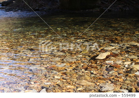 Water surface 559499