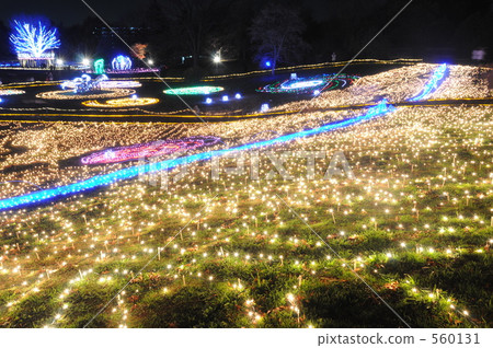 照明 照明 560131